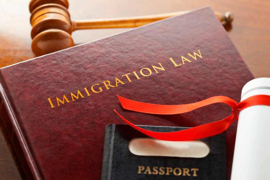 immigration law